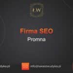 Firma SEO Promna – Firma SEO w Promnej