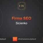 Firma SEO Sicienko – Firma SEO w Sicienku