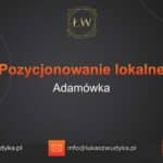 Pozycjonowanie lokalne Adamówka – Pozycjonowanie lokalne w Adamówce