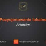 Pozycjonowanie lokalne Antoniów – Pozycjonowanie lokalne w Antoniewie