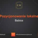 Pozycjonowanie lokalne Babice – Pozycjonowanie lokalne w Babicach