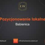 Pozycjonowanie lokalne Babienica – Pozycjonowanie lokalne w Babienicy