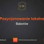 Pozycjonowanie lokalne Baborów – Pozycjonowanie lokalne w Baborowie