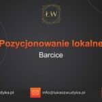 Pozycjonowanie lokalne Barcice – Pozycjonowanie lokalne w Barcicach