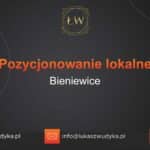 Pozycjonowanie lokalne Bieniewice – Pozycjonowanie lokalne w Bieniewicach