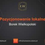 Pozycjonowanie lokalne Borek Wielkopolski – Pozycjonowanie lokalne w Borku Wielkopolskim