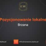 Pozycjonowanie lokalne Brzana – Pozycjonowanie lokalne w Brzanie