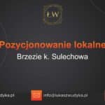 Pozycjonowanie lokalne Brzezie k. Sulechowa – Pozycjonowanie lokalne w Brzeziu koło Sulechowa