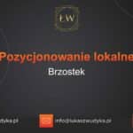 Pozycjonowanie lokalne Brzostek – Pozycjonowanie lokalne w Brzostku