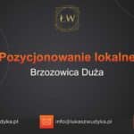 Pozycjonowanie lokalne Brzozowica Duża – Pozycjonowanie lokalne w Brzozowicy Dużej