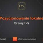 Pozycjonowanie lokalne Czarny Bór – Pozycjonowanie lokalne w Czarnym Borze