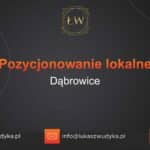 Pozycjonowanie lokalne Dąbrowice – Pozycjonowanie lokalne w Dąbrowicach