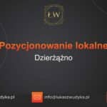 Pozycjonowanie lokalne Dzierżążno – Pozycjonowanie lokalne w Dzierżążnie