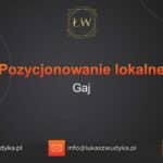 Pozycjonowanie lokalne Gaj – Pozycjonowanie lokalne w Gaju