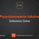 Pozycjonowanie lokalne Gołkowice Dolne – Pozycjonowanie lokalne w Gołkowicach Dolnych