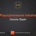 Pozycjonowanie lokalne Gorzów Śląski – Pozycjonowanie lokalne w Gorzowie Śląskim