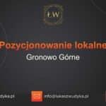 Pozycjonowanie lokalne Gronowo Górne – Pozycjonowanie lokalne w Gronowie Górnym