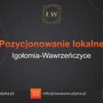 Pozycjonowanie lokalne Igołomia-Wawrzeńczyce – Pozycjonowanie lokalne w Igołomi-Wawrzeńczycach