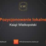 Pozycjonowanie lokalne Książ Wielkopolski – Pozycjonowanie lokalne w Książu Wielkopolskim