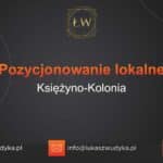 Pozycjonowanie lokalne Księżyno-Kolonia – Pozycjonowanie lokalne w Księżynie-Kolonii