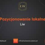 Pozycjonowanie lokalne Liw – Pozycjonowanie lokalne w Liwie