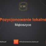 Pozycjonowanie lokalne Mąkoszyce – Pozycjonowanie lokalne w Mąkoszycach