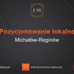 Pozycjonowanie lokalne Michałów-Reginów – Pozycjonowanie lokalne w Michałowie-Reginowie