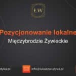 Pozycjonowanie lokalne Międzybrodzie Żywieckie – Pozycjonowanie lokalne w Międzybrodziu Żywieckim