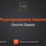 Pozycjonowanie lokalne Oborniki Śląskie – Pozycjonowanie lokalne w Obornikach Śląskich