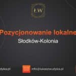 Pozycjonowanie lokalne Słodków-Kolonia – Pozycjonowanie lokalne w Słodkowie-Kolonii