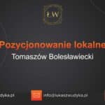 Pozycjonowanie lokalne Tomaszów Bolesławiecki – Pozycjonowanie lokalne w Tomaszowie Bolesławieckim