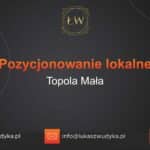 Pozycjonowanie lokalne Topola Mała – Pozycjonowanie lokalne w Topoli Małej