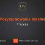 Pozycjonowanie lokalne Trepcza – Pozycjonowanie lokalne w Trepczy