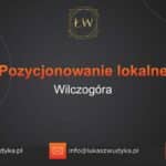 Pozycjonowanie lokalne Wilczogóra – Pozycjonowanie lokalne w Wilczogórze