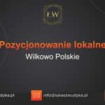 Pozycjonowanie lokalne Wilkowo Polskie – Pozycjonowanie lokalne w Wilkowie Polskim