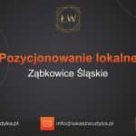 Pozycjonowanie lokalne Ząbkowice Śląskie – Pozycjonowanie lokalne w Ząbkowicach Śląskich