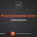 Pozycjonowanie stron Adamowizna – Pozycjonowanie w Adamowiźnie