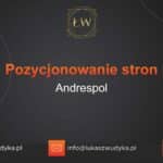 Pozycjonowanie stron Andrespol – Pozycjonowanie w Andrespolu