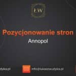 Pozycjonowanie stron Annopol – Pozycjonowanie w Annopolu