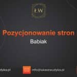 Pozycjonowanie stron Babiak – Pozycjonowanie w Babiaku