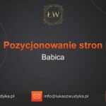 Pozycjonowanie stron Babica – Pozycjonowanie w Babicy