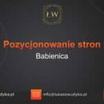 Pozycjonowanie stron Babienica – Pozycjonowanie w Babienicy