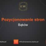 Pozycjonowanie stron Bąków – Pozycjonowanie w Bąkowie