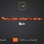 Pozycjonowanie stron Bełk – Pozycjonowanie w Bełku