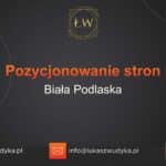 Pozycjonowanie stron Biała Podlaska – Pozycjonowanie w Białej Podlaskiej