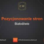 Pozycjonowanie stron Białośliwie – Pozycjonowanie w Białośliwiu