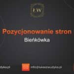 Pozycjonowanie stron Bieńkówka – Pozycjonowanie w Bieńkówce