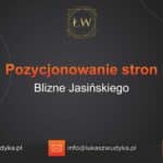 Pozycjonowanie stron Blizne Jasińskiego – Pozycjonowanie w Bliznem Jasińskiego