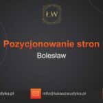 Pozycjonowanie stron Bolesław – Pozycjonowanie w Bolesławiu