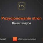 Pozycjonowanie stron Bolestraszyce – Pozycjonowanie w Bolestraszycach